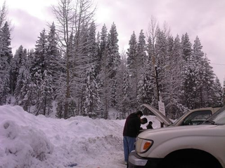 Illustration for article titled Go Ahead, Midwesterners, Laugh At The Californians Struggling In The Snow!